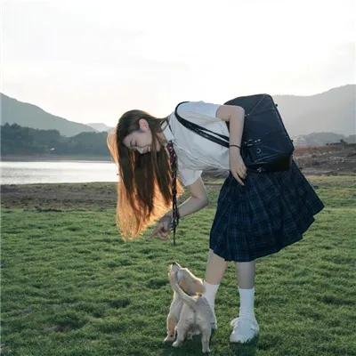 黑道家族
